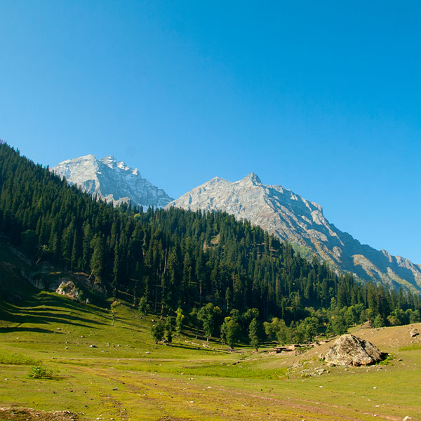 Kashmir
